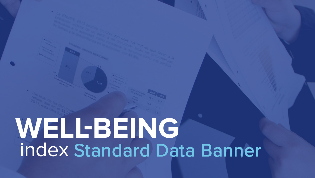 Data Banner (Standard)